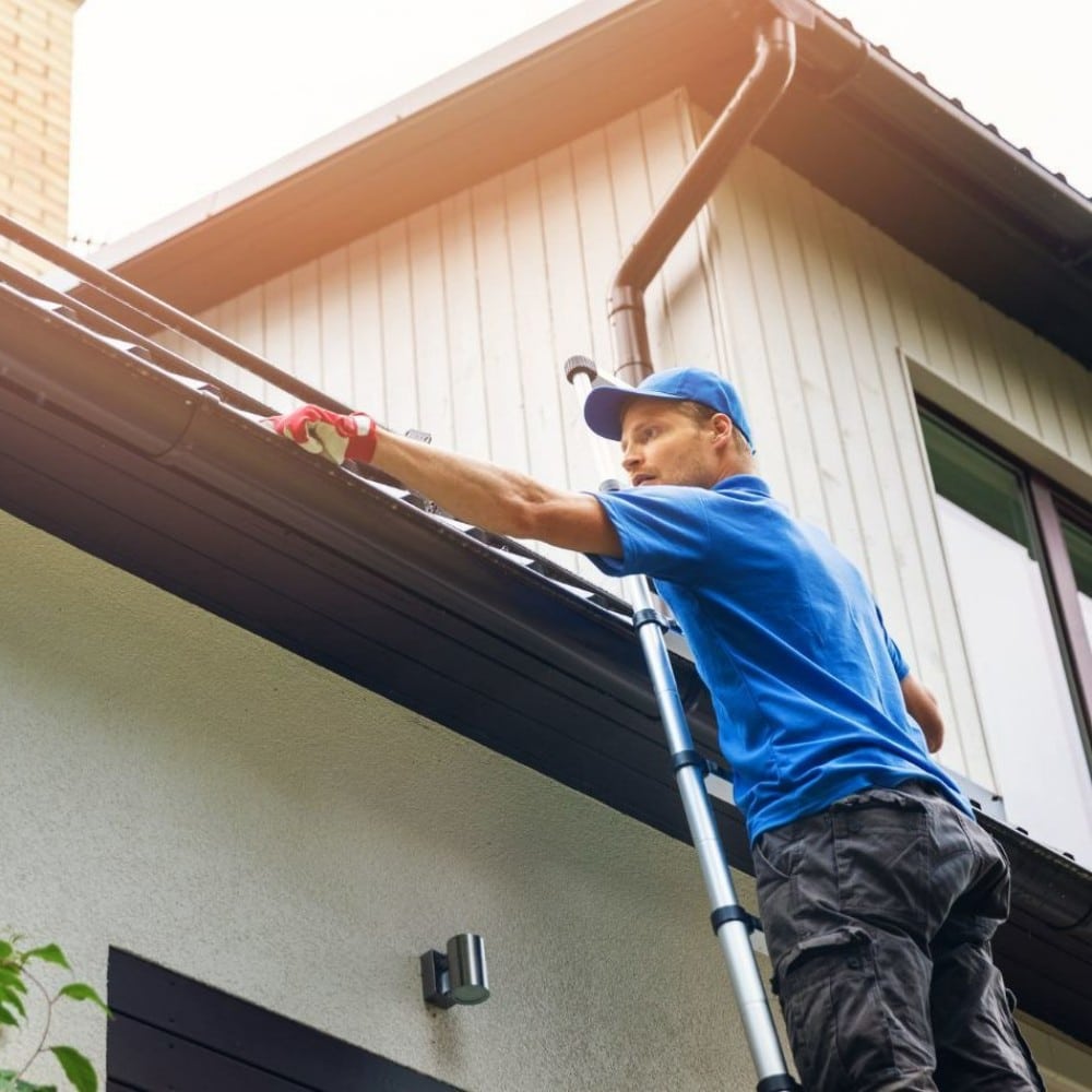 Gutter Cleaning Companies