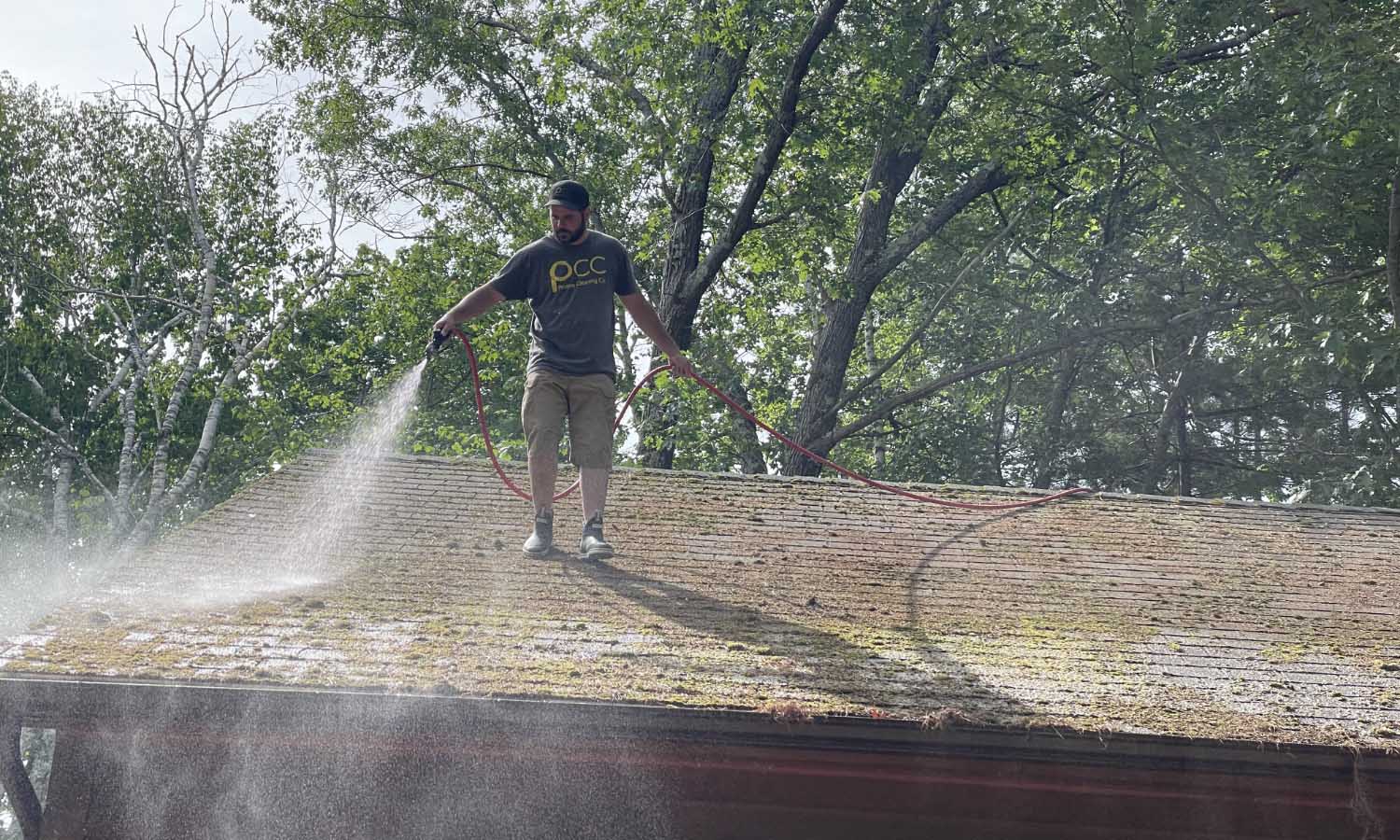 Roof Washing Services