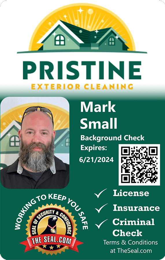 Pristine Cleaning Co. Small Mark 1