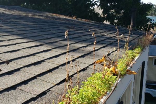Gutter Cleaning Near Falmouth ME